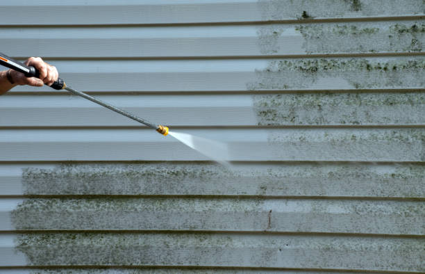 Best Driveway Pressure Washing  in Redland, MD